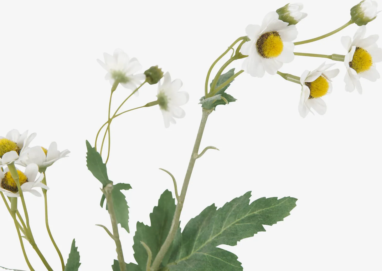 Urban Barn Trish Anemone Branch- Blooms & Branches