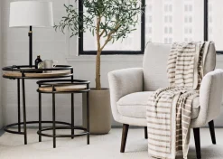 Urban Barn Tristin Olive Tree Potted Large- Blooms & Branches