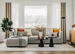 Urban Barn Troye Rubber Tree Potted- Blooms & Branches