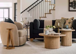 Urban Barn Viola Swivel Chair- Accent Chairs