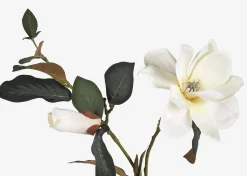 Urban Barn Wess Magnolia Stem- Blooms & Branches