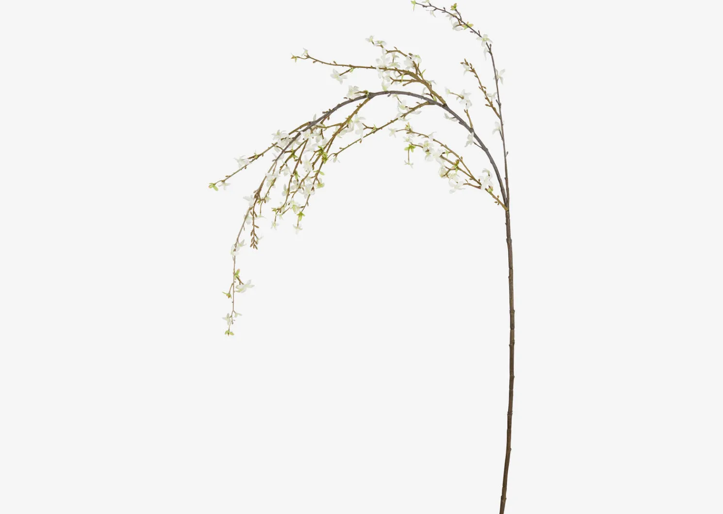 Urban Barn Yuri Forsythia Branch White- Blooms & Branches
